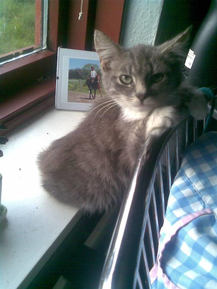 Huskat Hulu (: <3 billede 3