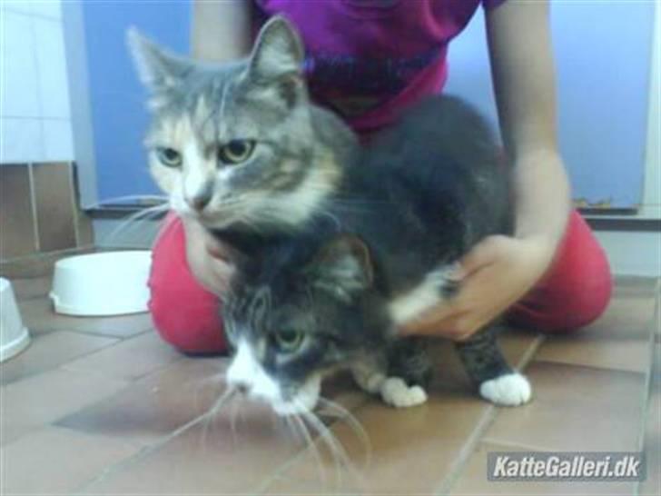 Huskat minni<3 billede 1