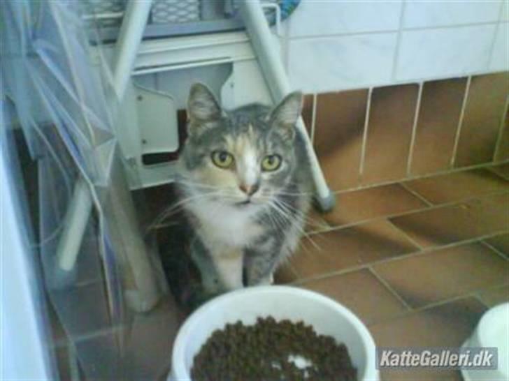 Huskat minni<3 billede 3