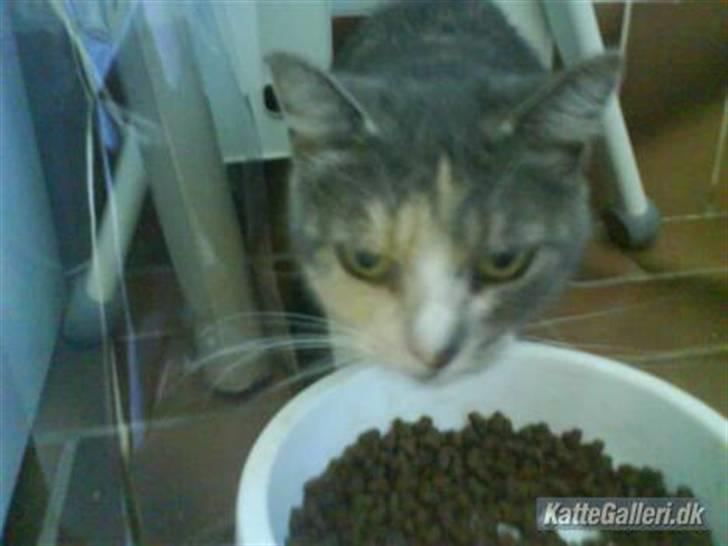 Huskat minni<3 billede 4