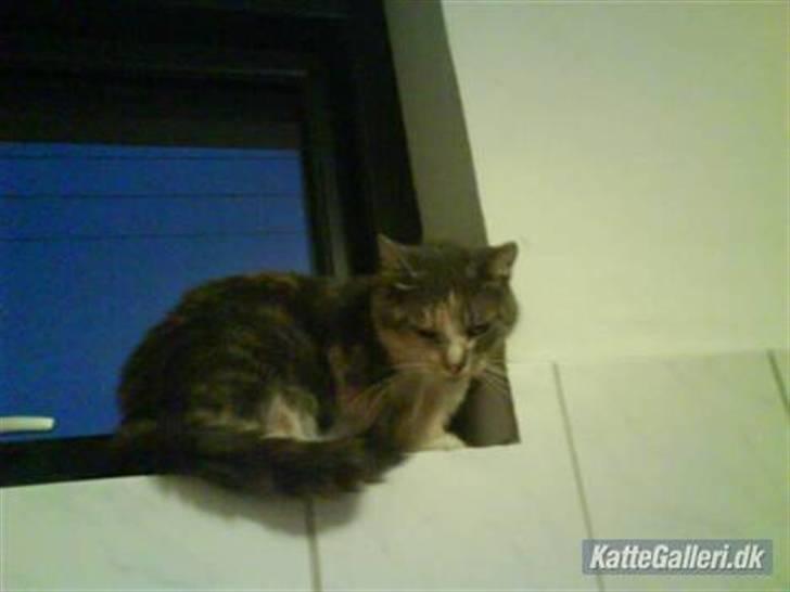 Huskat minni<3 billede 9