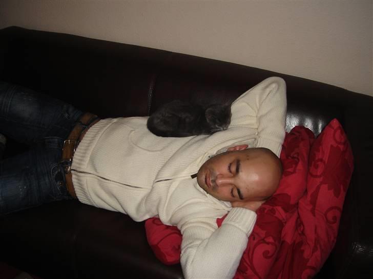 Huskat Cleo - Shhhh.... Thomas & Cleo tager en lille "morfar" på sofaen billede 12