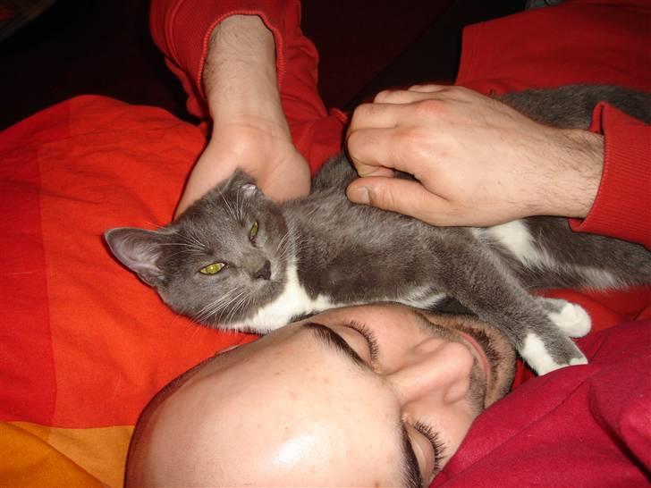 Huskat Cleo - Thomas & Cleo - qualitytime billede 14