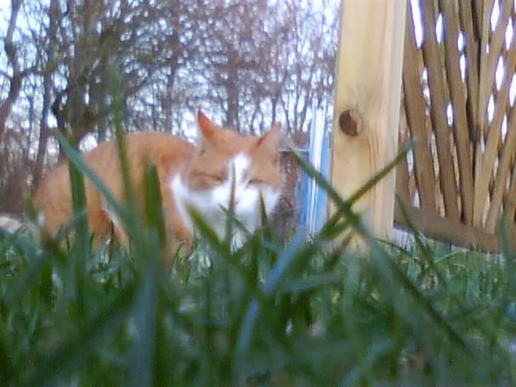 Huskat cirkeline :D - Hej !  billede 9