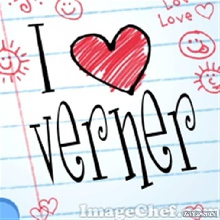 Blanding af racer Verner billede 9