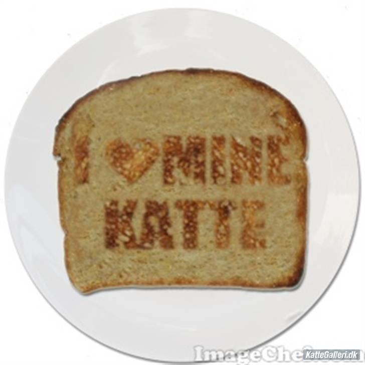 Blanding af racer Olga billede 8