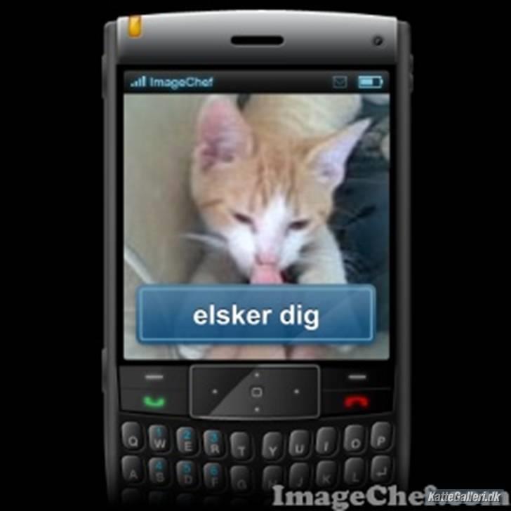 Blanding af racer Buster billede 7