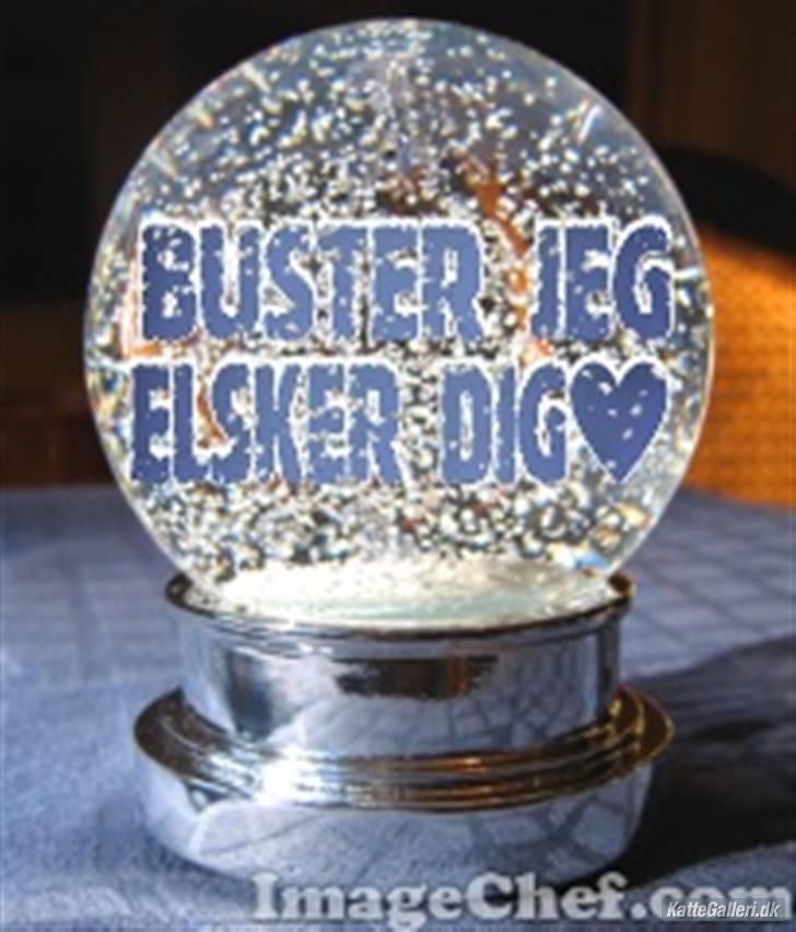 Blanding af racer Buster billede 8