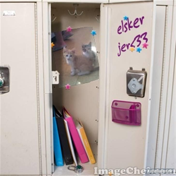 Blanding af racer Buster billede 9