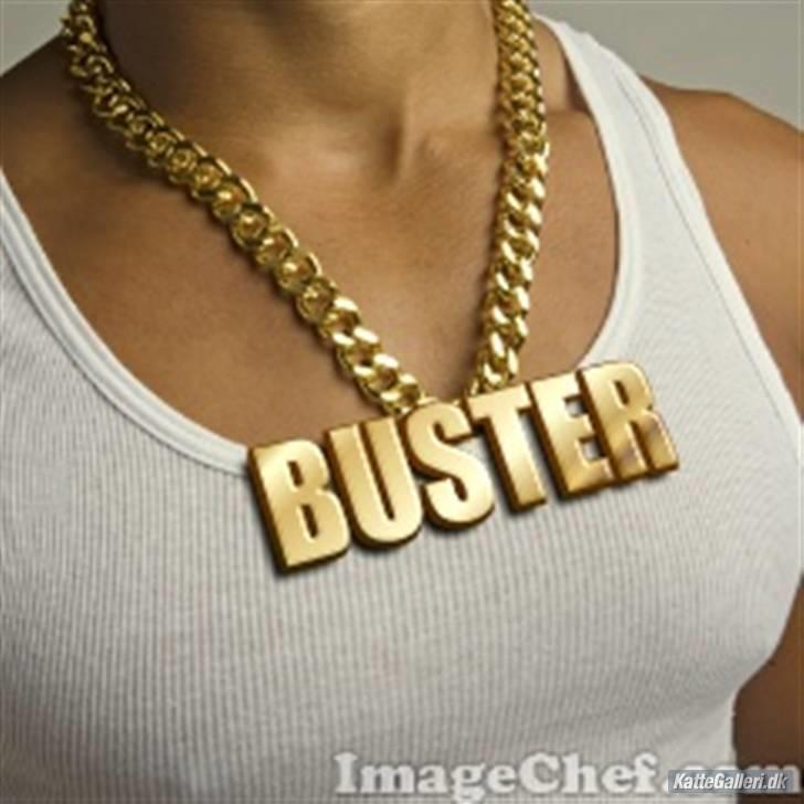 Blanding af racer Buster billede 10