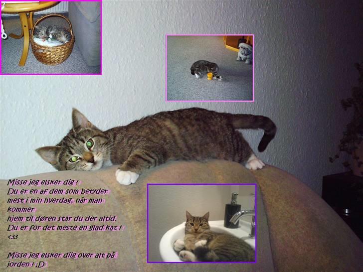 Blanding af racer Karla - Et redigeret billede ! <3 ;D billede 14