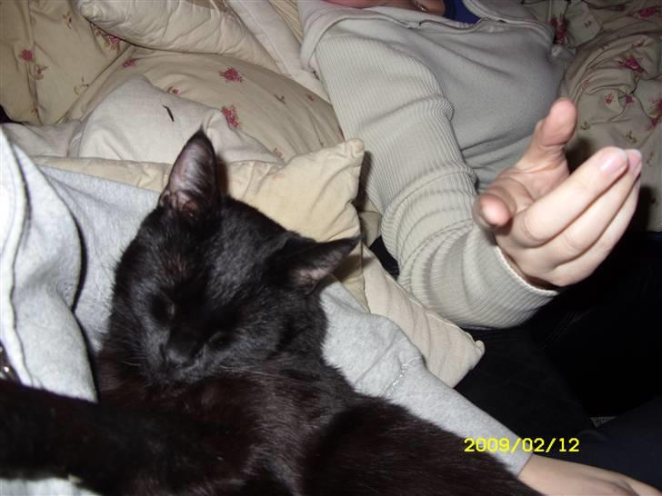 Huskat pjevs (jevs) - NYT... man må ikke pege hihih billede 13