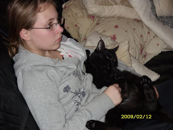 Huskat pjevs (jevs) - NYT... sover zzzz billede 14