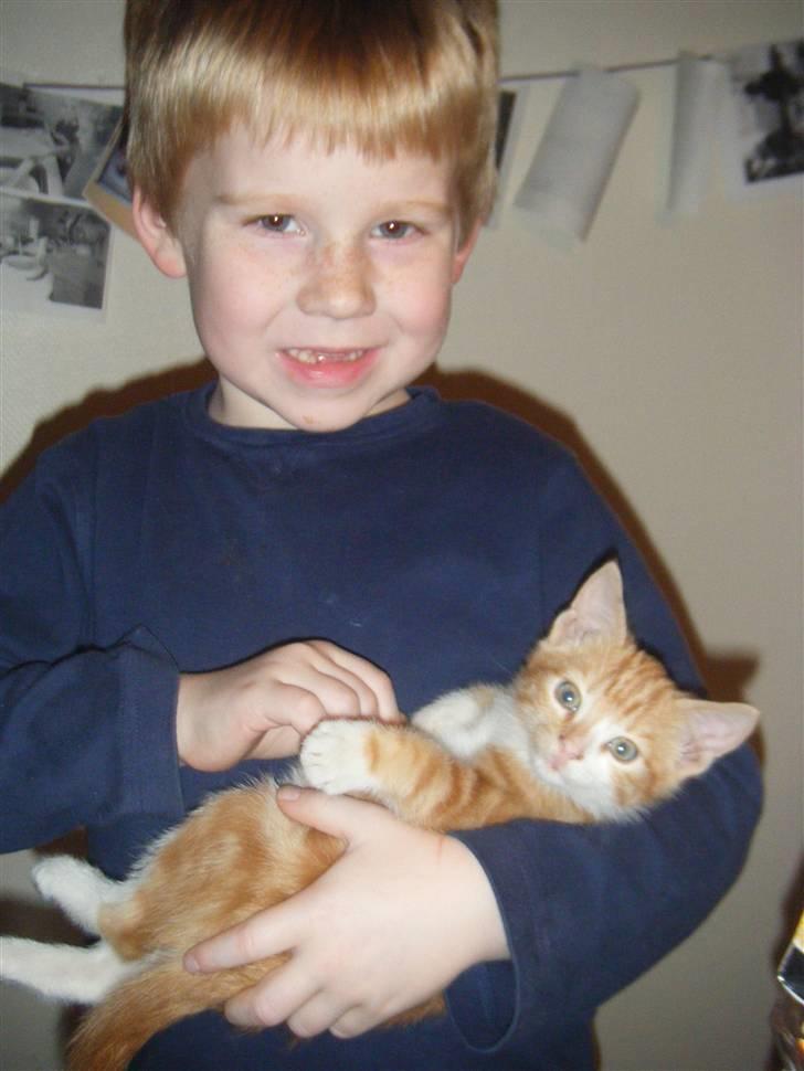 Huskat Garfield 22. september - Lucas med sin nye killing billede 2