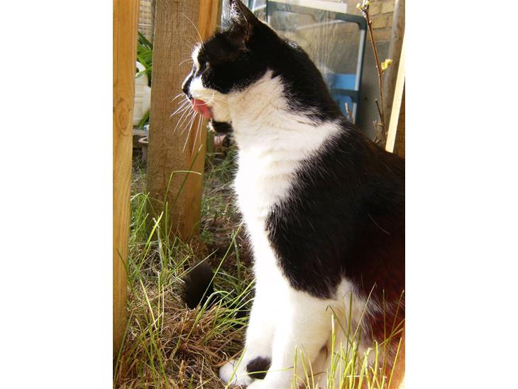 {{currentPhoto.altText}} billede {{currentPhoto.number}}