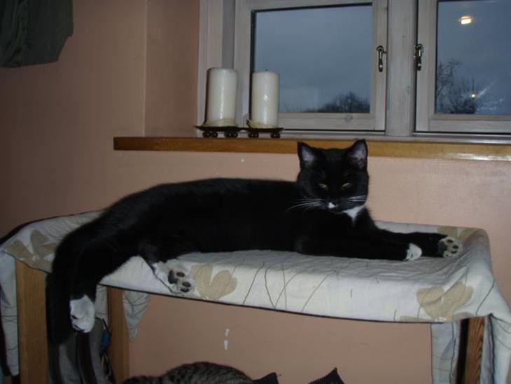 {{currentPhoto.altText}} billede {{currentPhoto.number}}