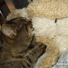 Blanding af racer Melon