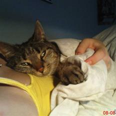 Blanding af racer Melon