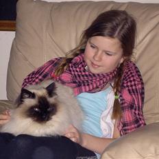 Hellig Birma Vincent