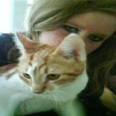 Huskat Sesce HKV(solgt)':