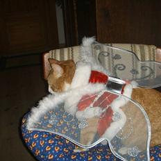 Huskat Prinsesse Kaj