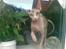 Sphynx Clara