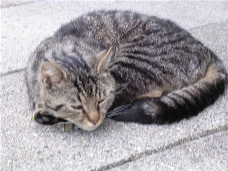 Huskat Gritte. - - Ja! Det va´r jo en var´m som´dag! Heh. <3. :). billede 14