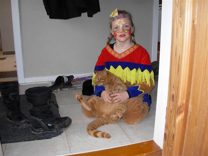 Huskat samson billede 17