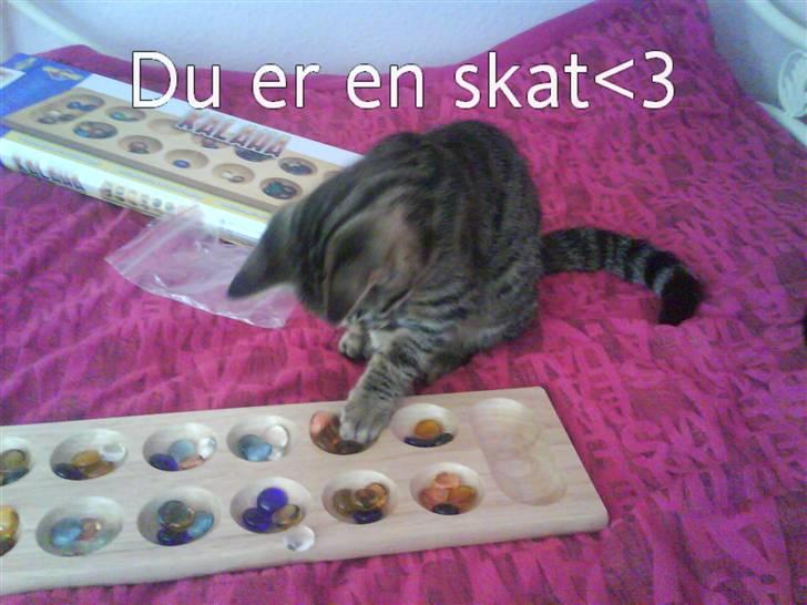 Huskat Strip :D <3 - Et spil kalaha er da ikk for dårligt :D billede 3