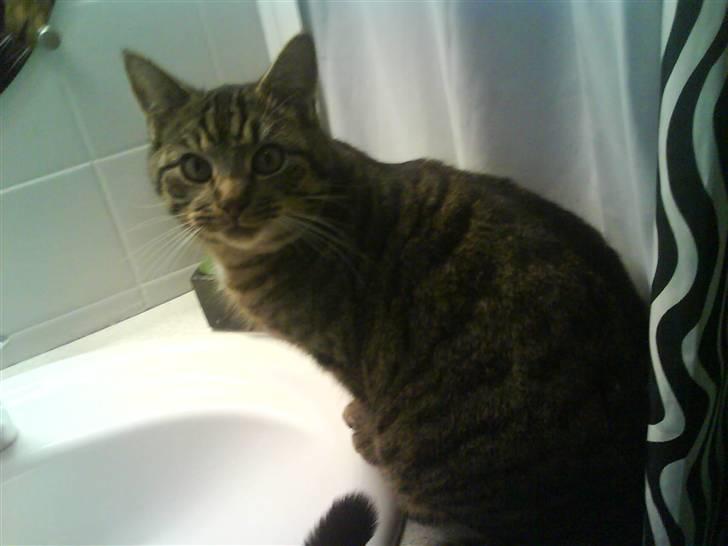 Huskat Strip :D <3 - Er jeg smuk :D billede 5