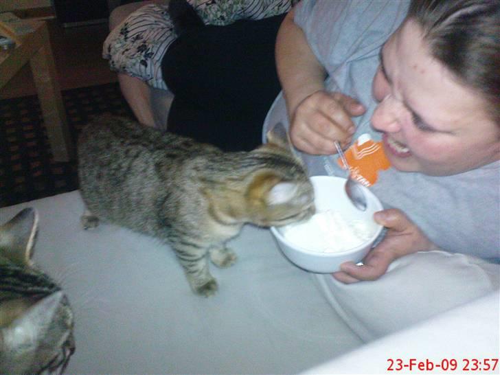 Huskat Fiona - Det er let at overhøre et nej.... eller ti billede 11