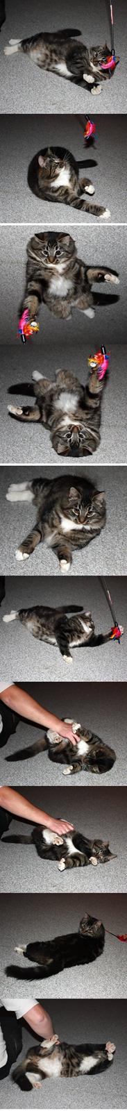 Blanding af racer Fia - Smukke Fia  <3 billede 19