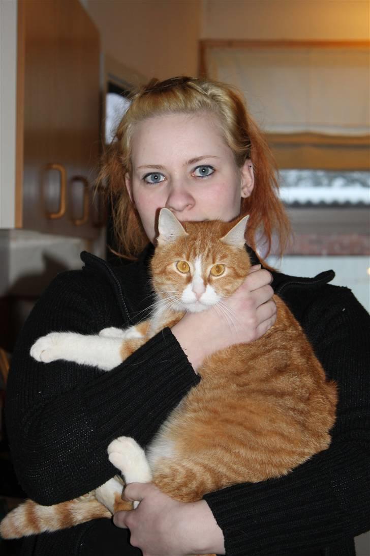 Huskat Rollo billede 15