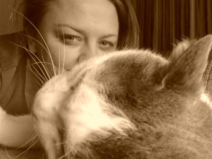 Huskat Bob Andersen billede 11