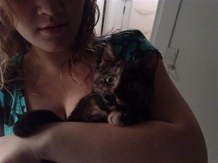 Huskat ,.-´*PEPSI*´-., billede 13