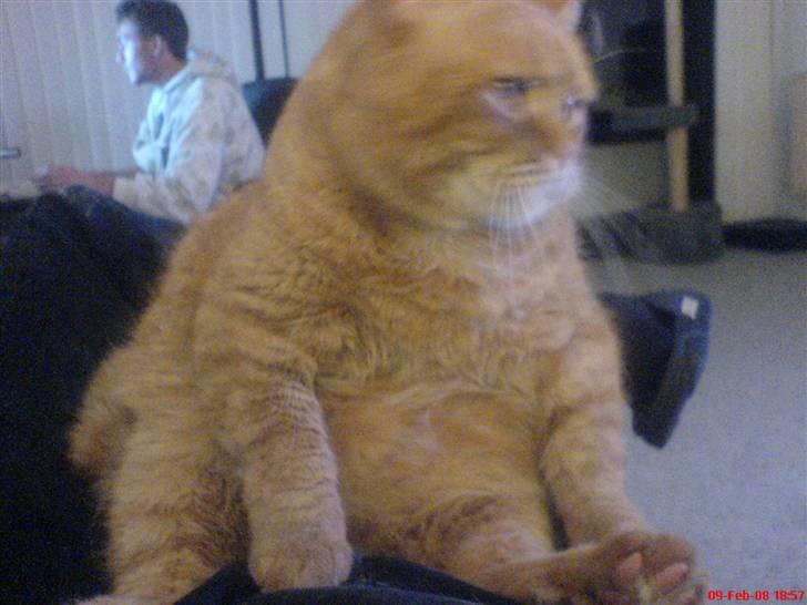 Huskat ib billede 12