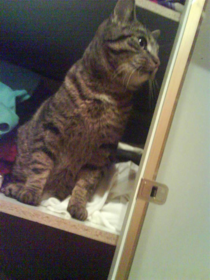 Huskat Strip :D <3 - Oppe i et skab billede 7