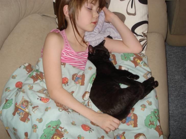 Blanding af racer ferrai  - han sover sammen med min lille søster!:) billede 6