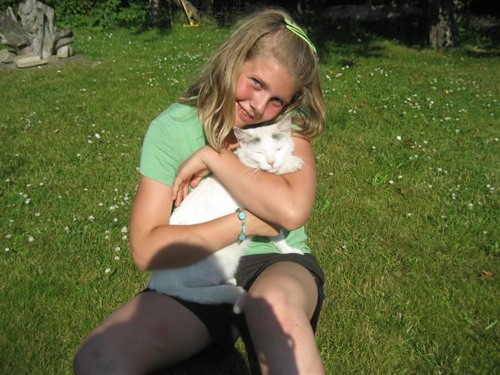 Huskat Isolde billede 13