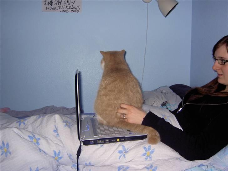 Exotic Lillemand - Tror Lillemand prøver at sige et eller andet billede 9