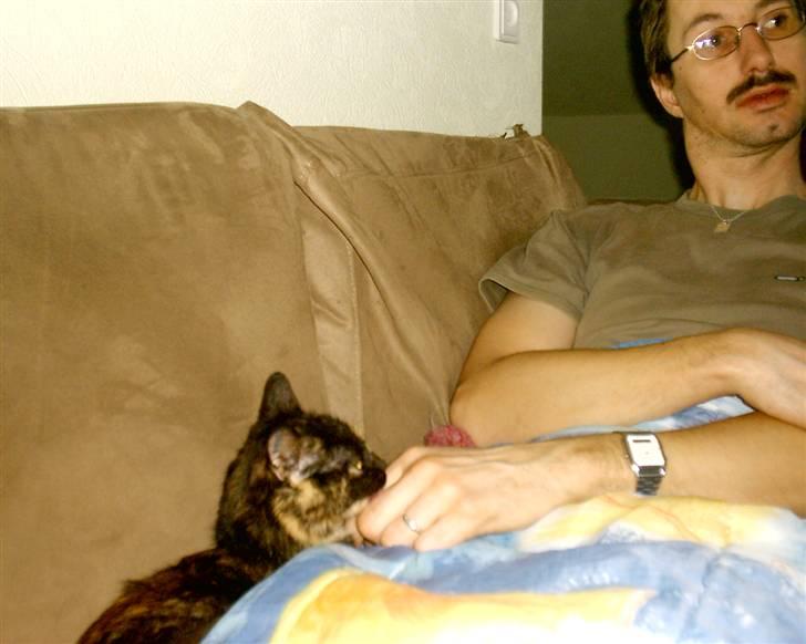 Huskat Bianca II billede 9