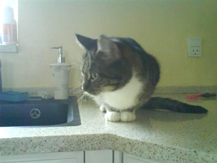 Huskat mille :D. billede 8