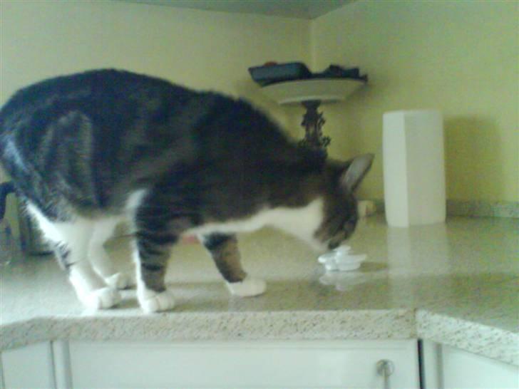 Huskat mille :D. billede 10