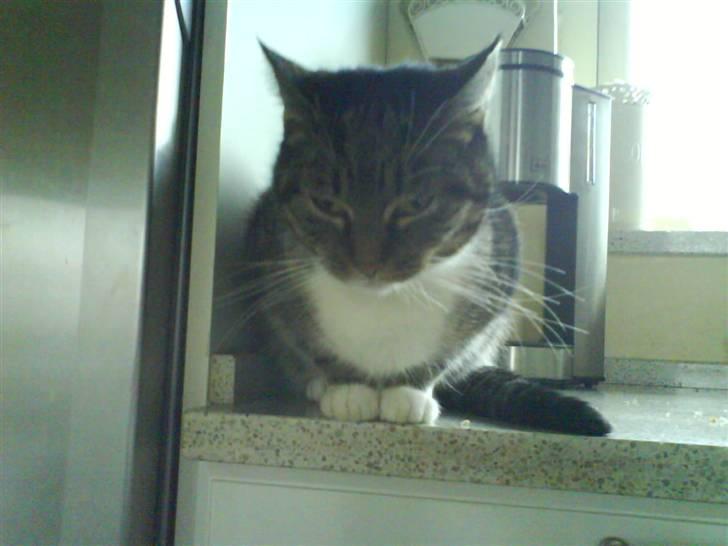 Huskat mille :D. billede 15