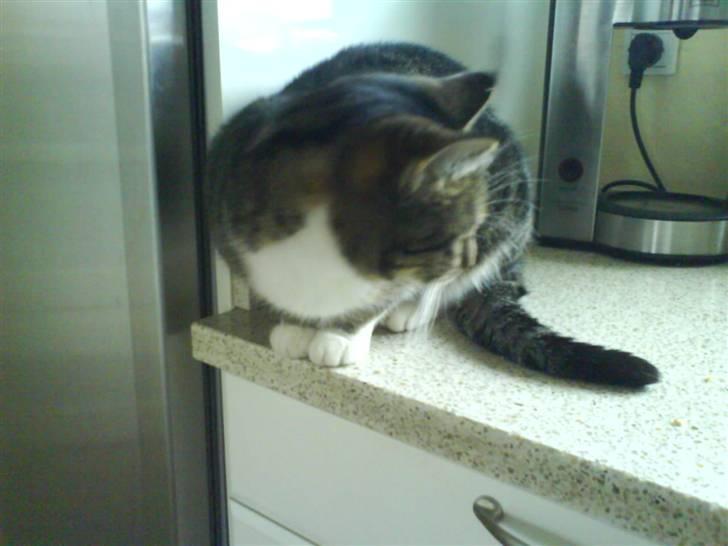 Huskat mille :D. billede 16