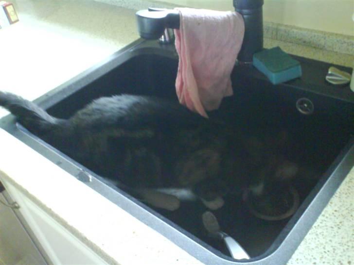 Huskat mille :D. billede 17