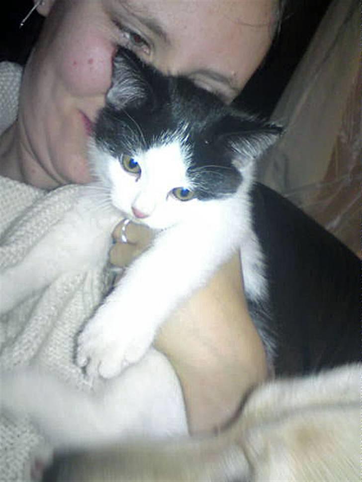 Huskat Tinka † billede 8