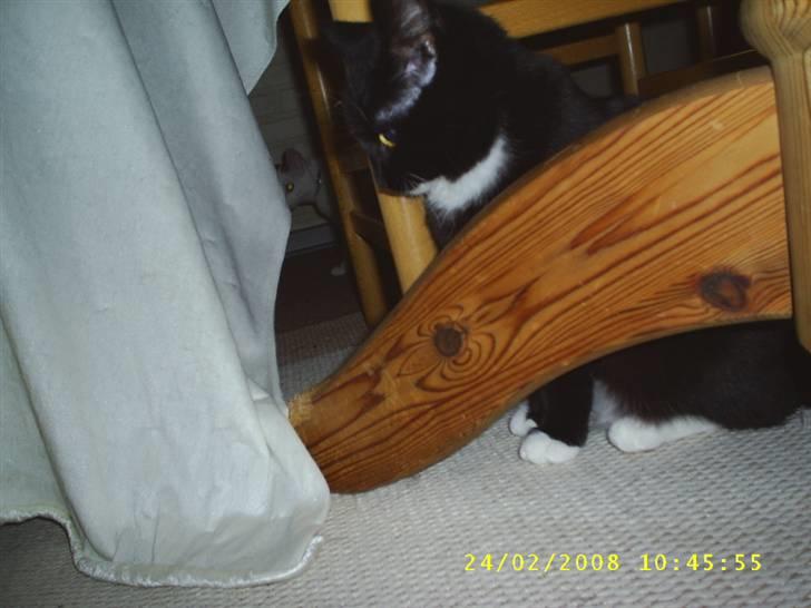 Huskat Tutten - Gemmeleg........ Øv fundet! billede 6