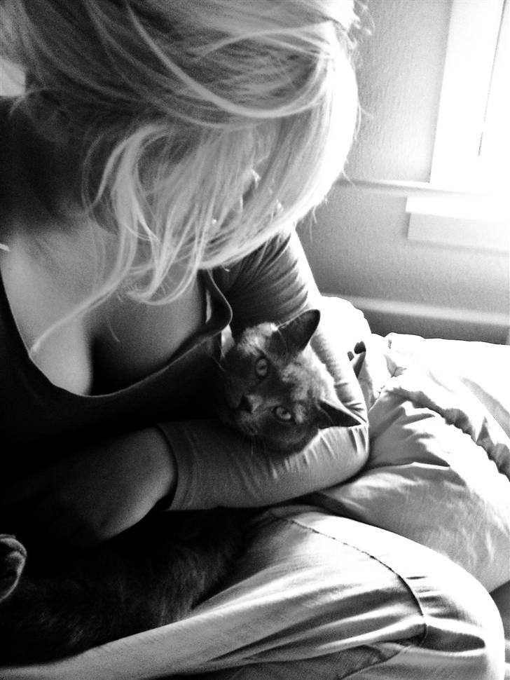 Blanding af racer pjevs billede 1