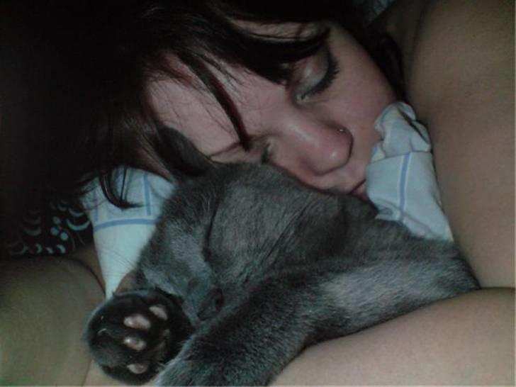 Huskat Whisky R.I.P. - Lille skat, jeg savner dig..... :´-( billede 6